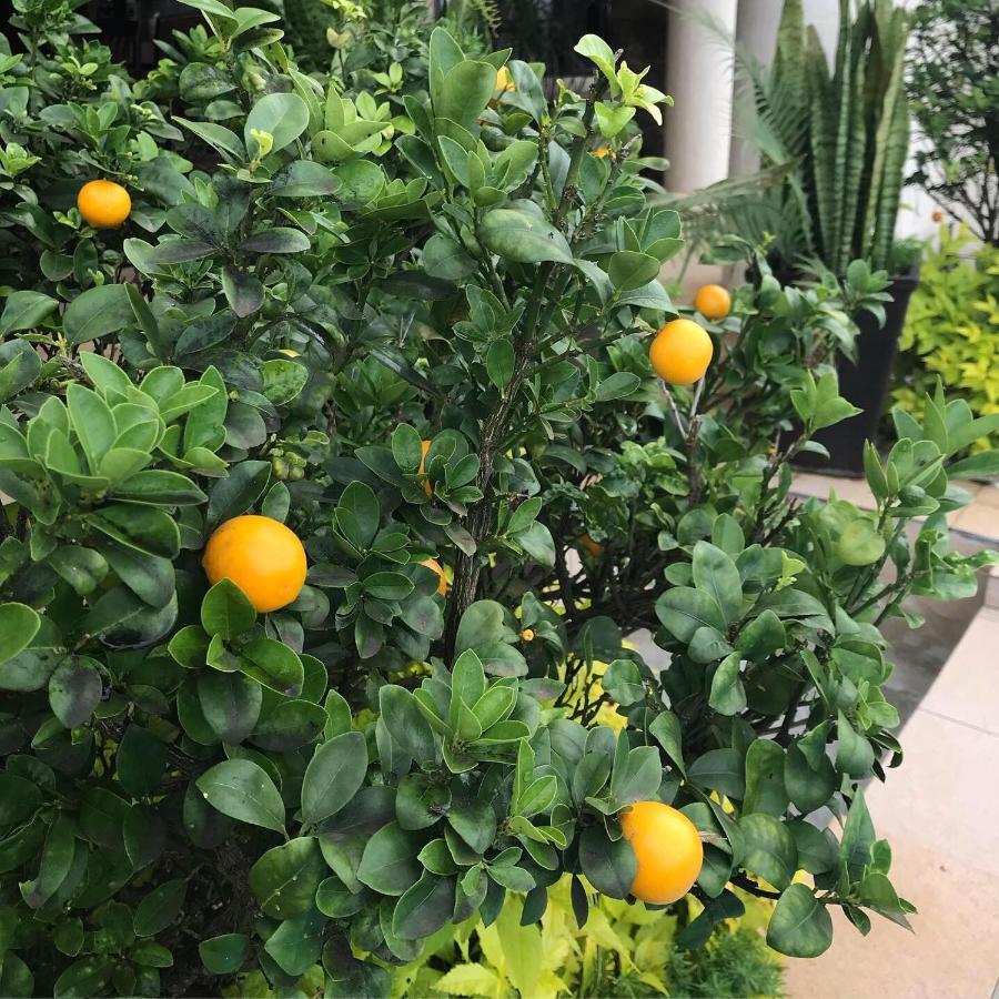 La Dolce Vita Umhlanga Guesthouse Durban Ngoại thất bức ảnh